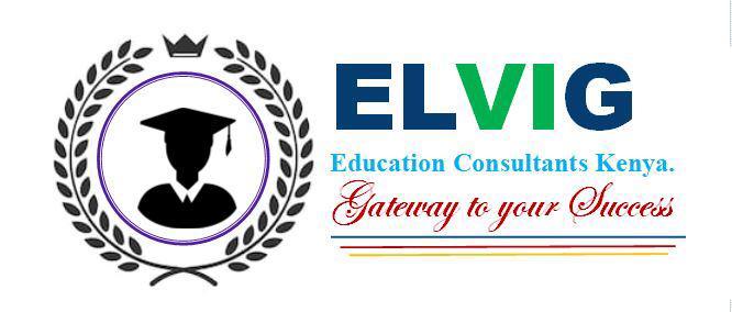 Elvig Education Consultants